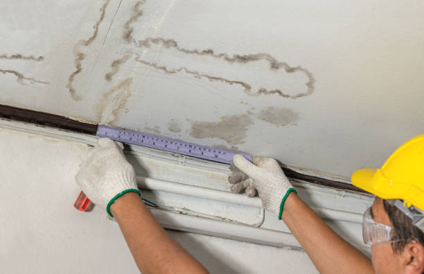 Reliable Mold Remediation contractor in Keller, TX by Water Damage Irwin